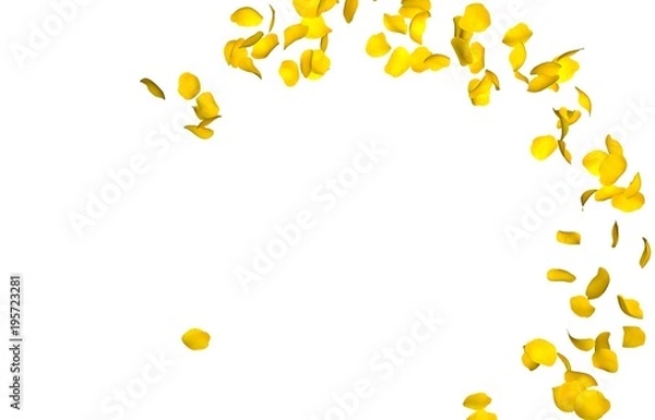 Fototapeta Yellow rose petals fly in a circle. The center free space for Your photos or text. Isolated white background