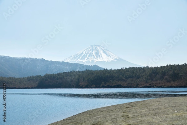 Fototapeta 富士山　西湖