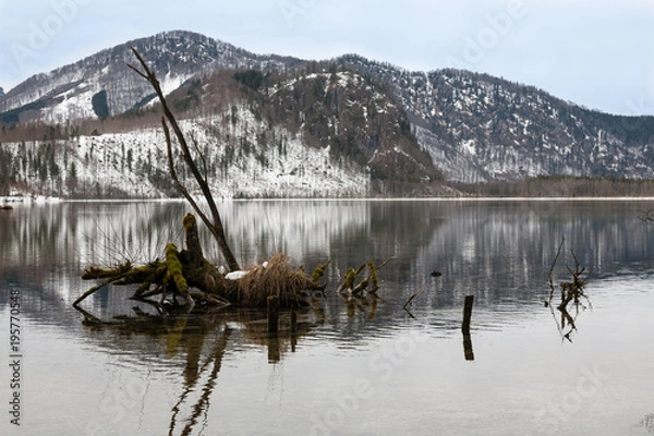 Obraz Winterlicher Bergsee
