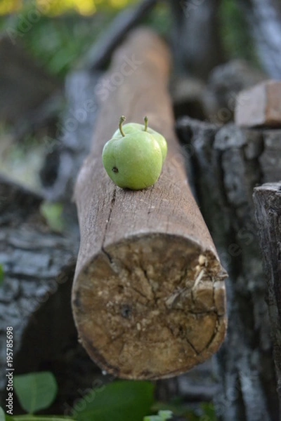 Fototapeta Manzana