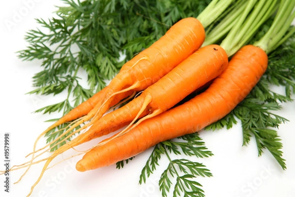 Fototapeta Fresh vegetables