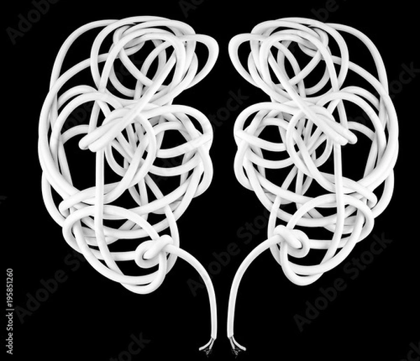 Fototapeta Stranded electrical wires on a black background, in the form of human lungs or human brains