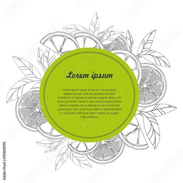 Fototapeta Hand drawn template with citrus fruit isolated on white background. Vector illustration