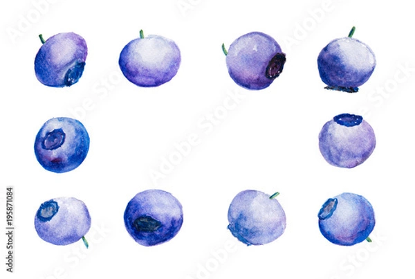 Obraz Background With Blueberries In Watercolor
