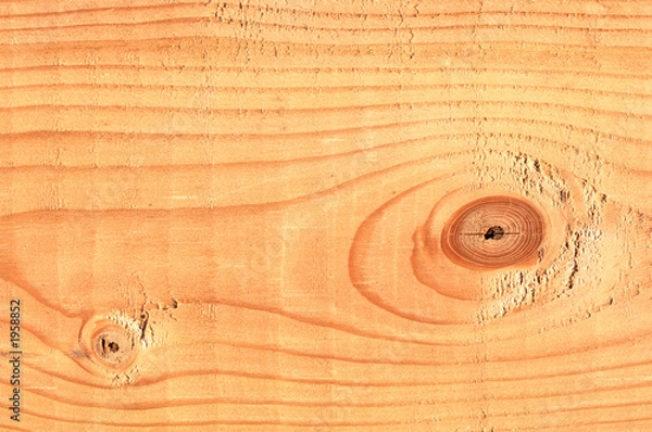 Fototapeta pine tree lumber macro