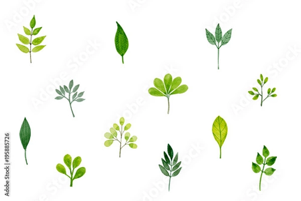 Obraz Pattern With Green Leaves In Watercolor