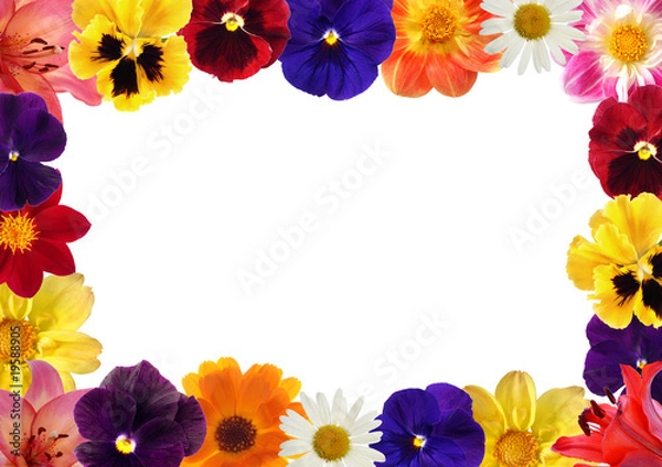 Obraz framework from various flowers
