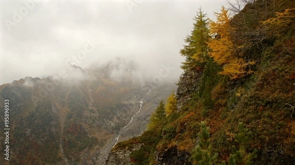 Fototapeta jaune et vert 