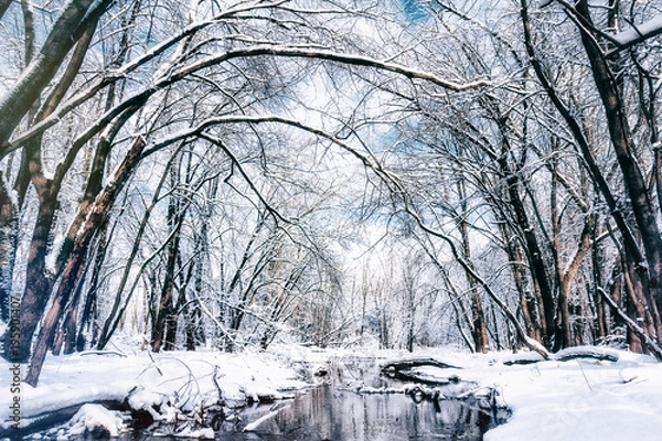 Fototapeta Beautiful Winter Wonderland Forest. Snow Covered Trees and Creek. Seasonal Background with Gorgeous Copy Space.