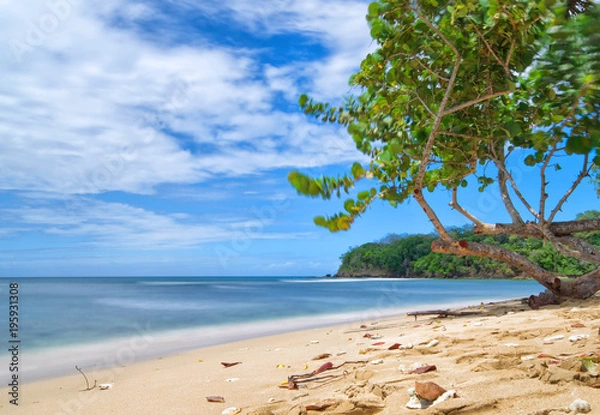 Fototapeta Republic of Trinidad and Tobago - Tobago island - Mt. Irvine bay - Tropical beach of Caribbean sea