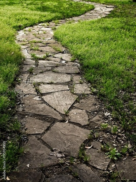 Fototapeta Stone Pathway Outlined with Green Grass