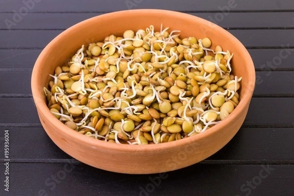 Obraz Close-up of green lentils in a clay bowl