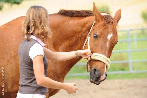 Fototapeta Pferde 99