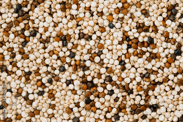 Fototapeta Close up mixed of red , white and black quinoa seeds , gluten free superfoods with high protine , anioxidant and fiber