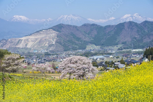 Obraz 陽春の信州高山村
