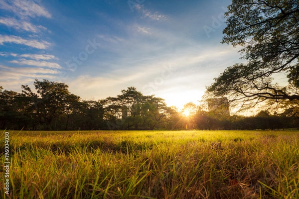 Obraz The Beautiful Landscaps Nature In Park