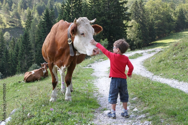 Obraz mały chłopiec pieści krowę na alpejskiej łące