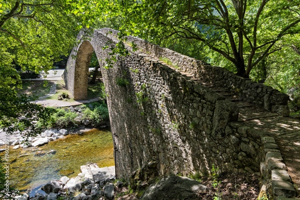 Fototapeta The old stone bridge of Pyli village in Thessaly, Greece