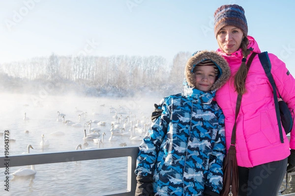 Obraz Woman at winter nonfreezing lake with white whooping swans. The place of wintering of swans, Altay, Siberia, Russia.