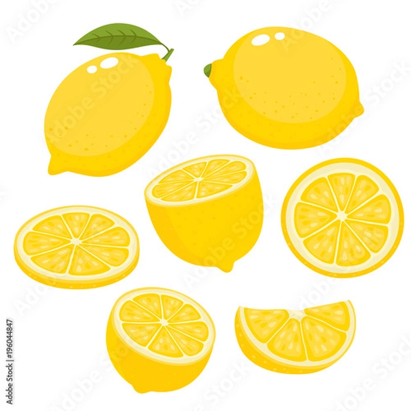 Fototapeta Jasny wektor zestaw kolorowych soczystych cytryn na białym tle.