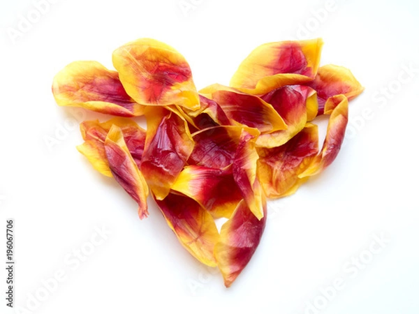 Fototapeta Heart made of crushed tulip petals