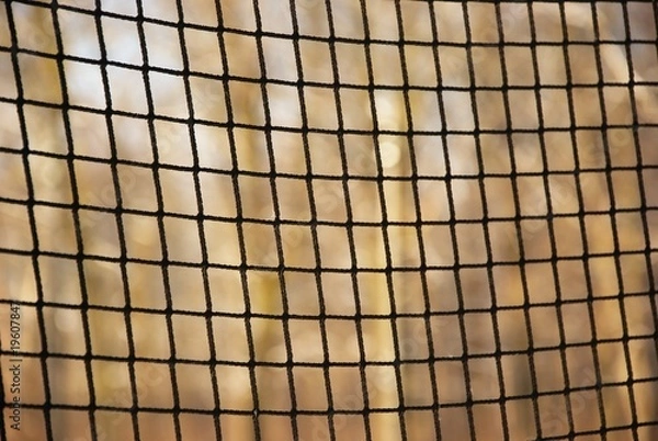 Obraz Eishockey Fangnetz