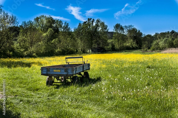 Obraz Graslandschaft mit altem Wagen