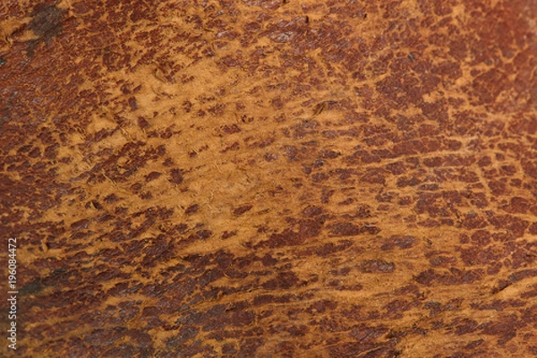 Obraz Rough old brown leather background texture