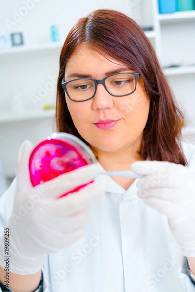 Fototapeta Laboratory assistant in the laboratory of of food quality