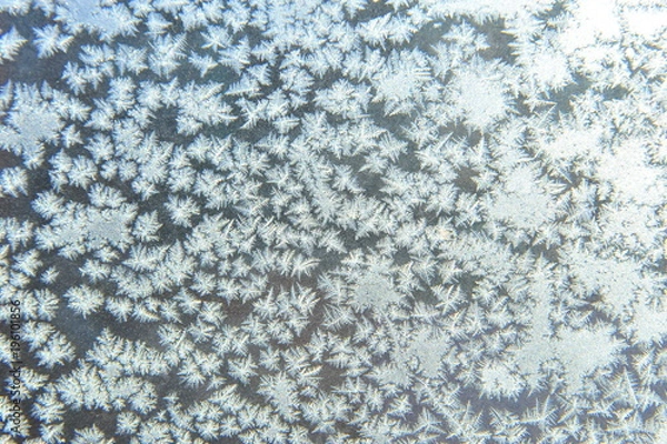 Fototapeta Ice flowers