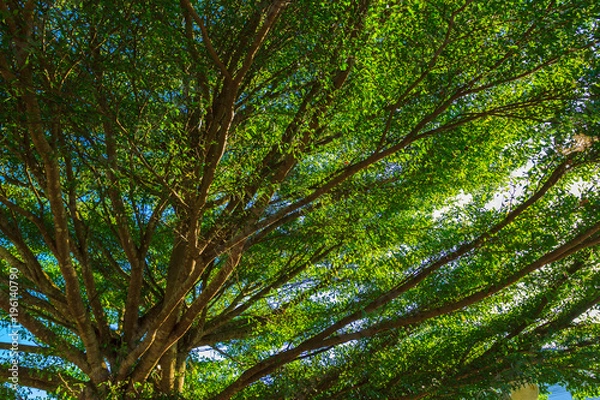 Obraz Twisted backlight