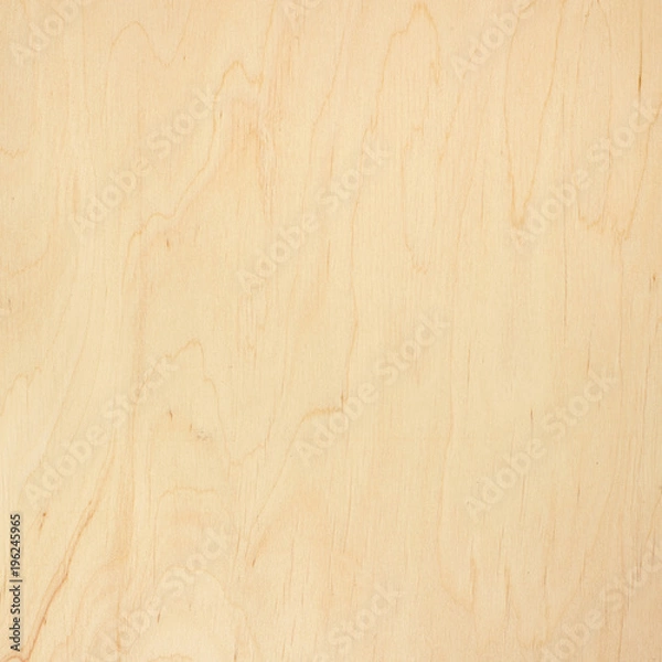 Obraz Wood texture background