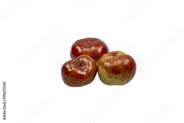 Obraz Jujube Fruit