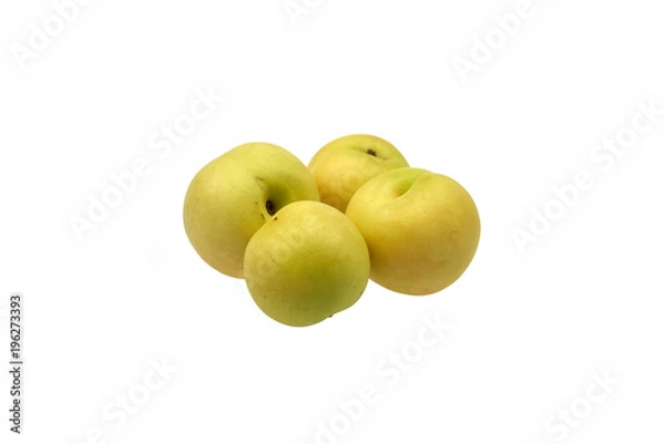 Obraz Yellow Plum