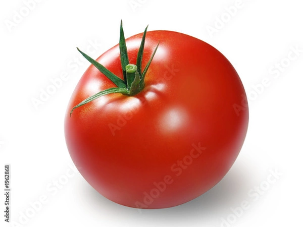 Obraz Czerwony pomidor