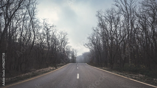 Fototapeta Road between the trees, bare autumn forest