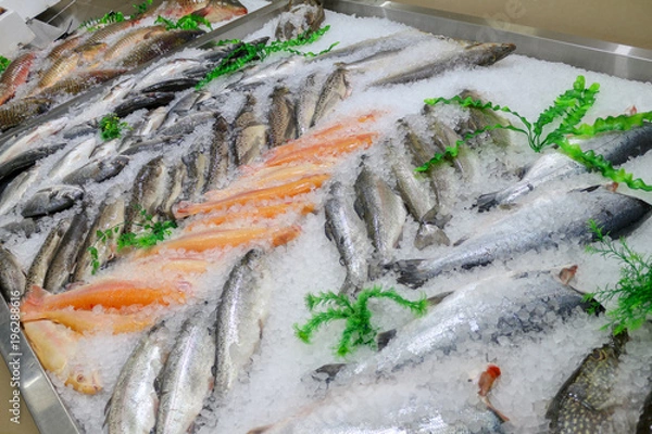 Obraz Свежая рыба на льду с ценой