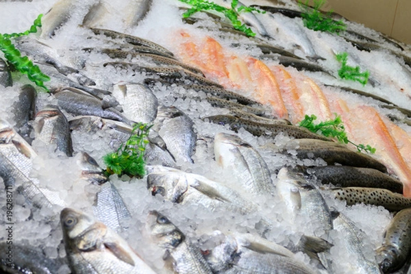 Obraz Свежая рыба на льду с ценой