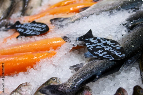 Obraz Форель Дорода Свежая рыба на льду с ценой