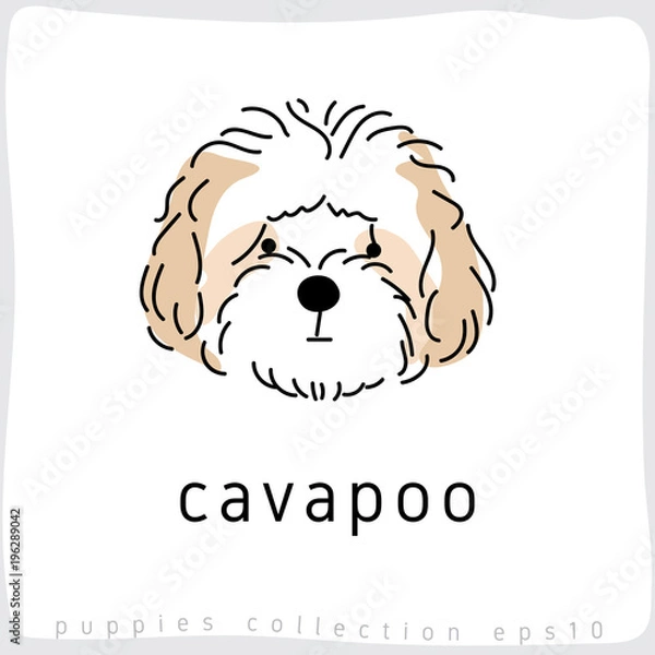 Obraz Dog Breed Collection : Vector Illustration