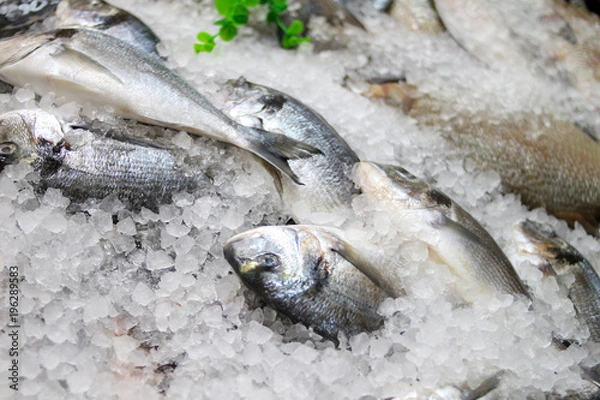 Obraz сибас Свежая рыба на льду на рынке