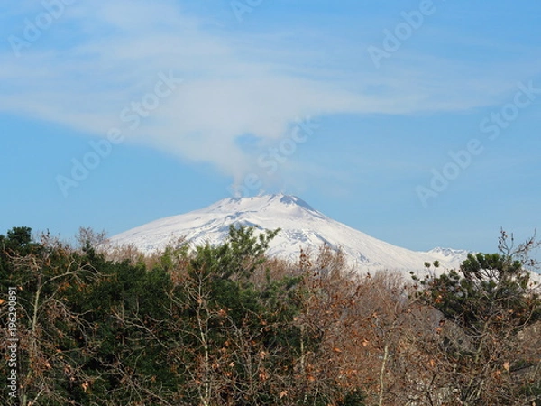 Obraz ベッリーニ庭園から見るエトナ山　カターニア　シチリア　イタリア