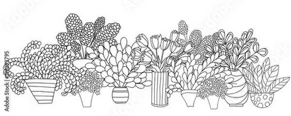 Fototapeta Horizontal composition with contour cartoon plants and flowers in pots and vases.