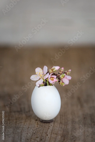 Fototapeta Easter eggs. Easter decoration.