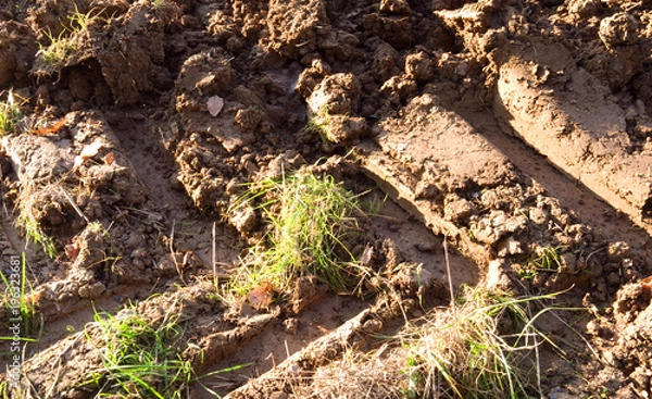 Obraz Agriculture: Tractor tyre track in freshly plowed arable soil in Eastern Thuringia
