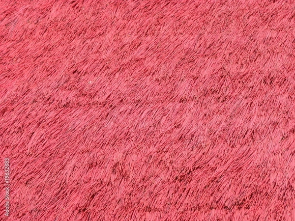 Obraz Rotes Reetdacht