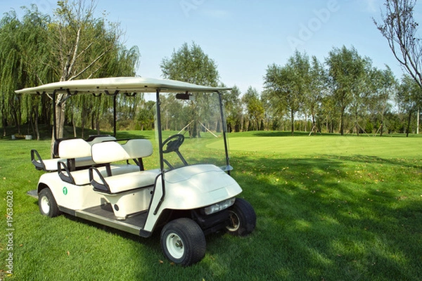 Obraz Golf cart