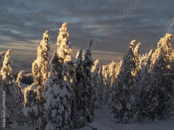 Obraz Coucher de soleil d'hiver
