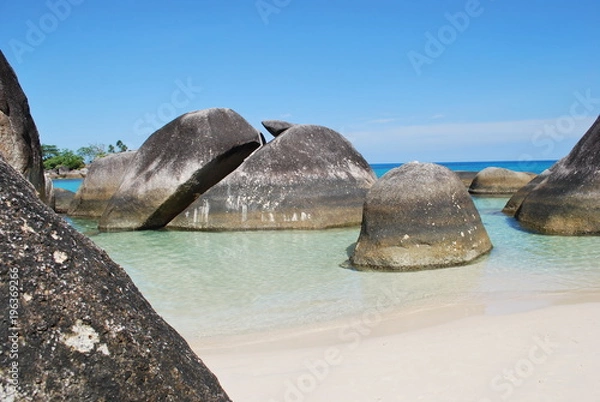 Obraz Tropical Beach