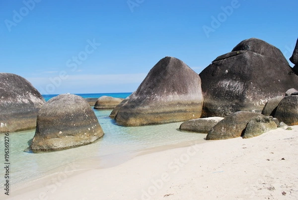 Obraz Tropical Beach